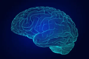 Lý Trí Hay Lí Trí: So Sánh Chi Tiết Cách Viết Đúng Chuẩn Tiếng Việt