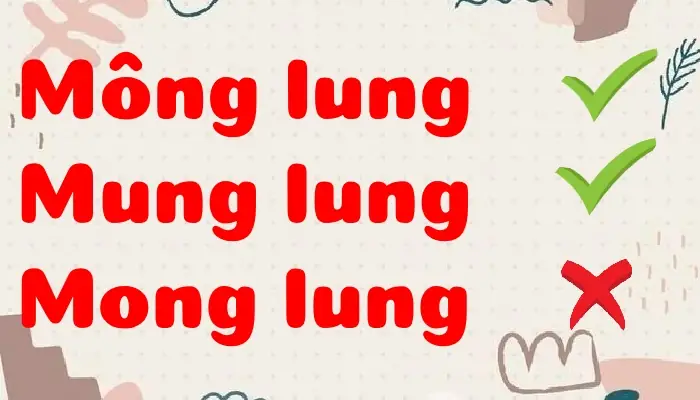 Mông Lung Hay Mung Lung: Top 10 Món Ăn Ngon Nhất Từ Loại Rau Xanh Này Mông Lung Hay Mung Lung: Top 10 Món Ăn Ngon Nhất Từ Loại Rau Xanh Này