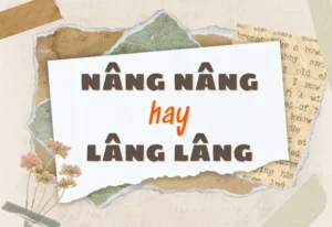 Nâng Nâng Hay Lâng Lâng? Đánh Giá Chi Tiết Hai Phong Cách Ứng Xử Trong Đời Sống