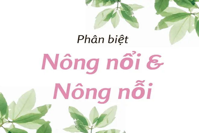 Nông Nổi Hay Nông Nỗi: Phân Biệt 5 Loại Mụn & Cách Xử Lý Khoa Học Nông Nổi Hay Nông Nỗi: Phân Biệt 5 Loại Mụn & Cách Xử Lý Khoa Học