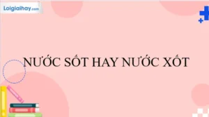 Nước Sốt Hay Nước Xốt: Top 10 Loại Nước Sốt Ngon Nhất Bạn Nên Thử