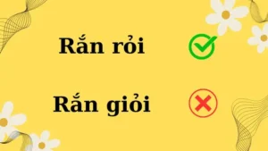 Rắn Rỏi Hay Rắn Giỏi: Sự Khác Biệt Và Cách Dùng Đúng Ngữ Cảnh