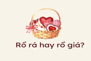 Rổ Rá Là Gì? Phân Tích Chi Tiết Về Khẩu Ngữ Đặc Trưng Miền Trung