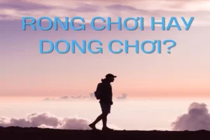 Rong Chơi Hay Dong Chơi? Phân Biệt Chính Xác Các Cặp Từ Đồng Âm