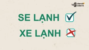 Se Lạnh Hay Xe Lạnh: Đâu Là Giải Pháp Làm Mát Phù Hợp Cho Bạn?