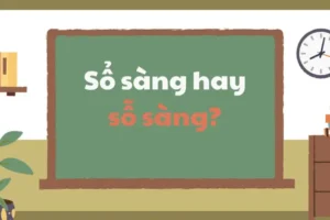 Sỗ Sàng: Hiểu Đúng Nghĩa, Cách Dùng Và Những Lưu Ý Quan Trọng