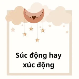 Súc Động Hay Xúc Động: Phân Tích Chi Tiết Sự Khác Biệt Và Cách Dùng Đúng