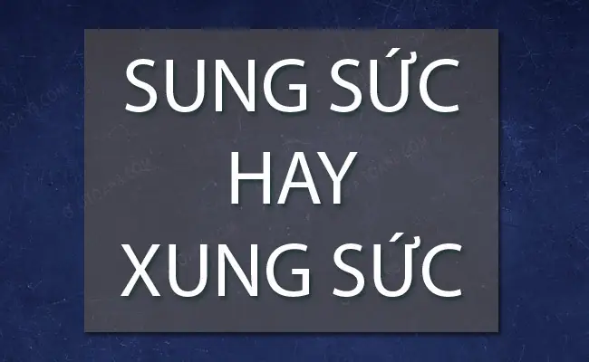 Sung Sức Hay Xung Sức: So Sánh Chi Tiết Để Lựa Chọn Tối Ưu