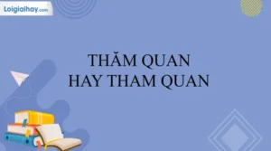 Thăm Quan Hay Tham Quan: Sự Khác Biệt Và Khi Nào Nên Dùng?
