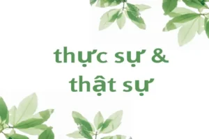 Thực Sự Hay Thật Sự: Top 5 Tình Huống Phân Biệt Đúng Cách