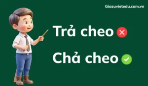 Trả Treo Và Chả Cheo: Tổng Hợp Mọi Thông Tin Cần Biết