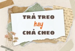 Trả Treo Hay Chả Cheo? Giải Đáp Chi Tiết Và Cách Phân Biệt