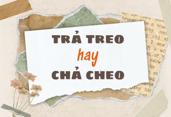 Trả Treo Hay Chả Cheo? Giải Đáp Chi Tiết Và Cách Phân Biệt Trả Treo Hay Chả Cheo? Giải Đáp Chi Tiết Và Cách Phân Biệt