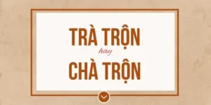 Trà Trộn Hay Chà Trộn: Phân Biệt Và Hướng Dẫn Sử Dụng Đúng
