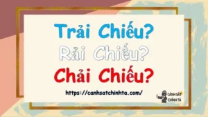 Trải Chiếu Hay Chải Chiếu: Phân Biệt Và Cách Dùng Đúng