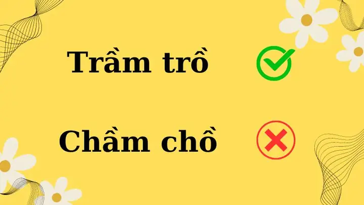 Trầm Trồ Hay Chầm Chồ: Phân Biệt Đúng Sai Trong Tiếng Việt