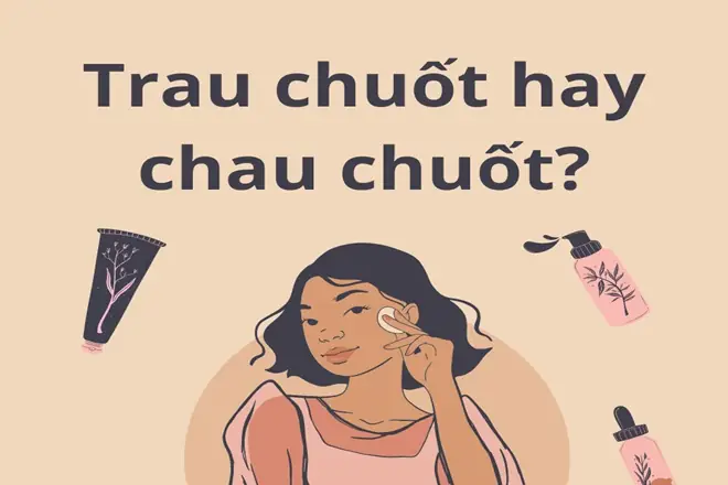 Trau Chuốt Hay Chau Chuốt: Đâu Là Từ Đúng? Trau Chuốt Hay Chau Chuốt: Đâu Là Từ Đúng?