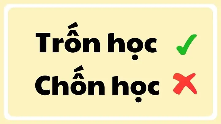 Trốn Học Hay Chốn Học? So Sánh 5 Lựa Chọn Nơi Học Tập Phổ Biến