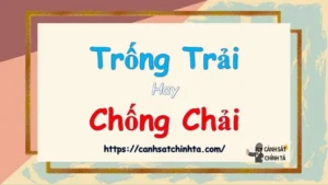 Trống Trải Là Gì Và Cách Chống Chải Hiệu Quả