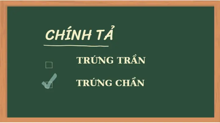 Trứng Chần Là Gì? Phân Biệt Với Trứng Trần Và Các Cách Làm Trứng Trứng Chần Là Gì? Phân Biệt Với Trứng Trần Và Các Cách Làm Trứng