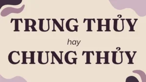 Chung Thủy Là Gì? Top 5 Lý Do Nên Hiểu Và Ứng Dụng Trong Cuộc Sống