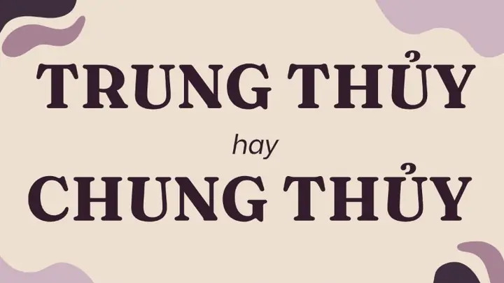 Chung Thủy Là Gì? Top 5 Lý Do Nên Hiểu Và Ứng Dụng Trong Cuộc Sống Chung Thủy Là Gì? Top 5 Lý Do Nên Hiểu Và Ứng Dụng Trong Cuộc Sống