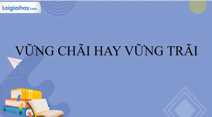 Vững Trãi Hay Vững Chãi: So Sánh Chi Tiết Hai Loại Trà Gạo Lứt Phổ Biến Vững Trãi Hay Vững Chãi: So Sánh Chi Tiết Hai Loại Trà Gạo Lứt Phổ Biến
