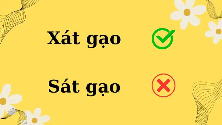 Xát Gạo Hay Sát Gạo: Từ Nào Đúng Chính Tả? Xát Gạo Hay Sát Gạo: Từ Nào Đúng Chính Tả?