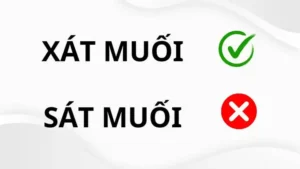 Xát Muối Hay Sát Muối: So Sánh Chi Tiết Từ Ngữ