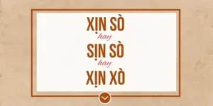 Xịn Sò Hay Sịn Xò: So Sánh Chi Tiết Và Đánh Giá