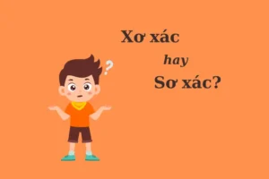 Xơ Xác Hay Sơ Xác: Phân Biệt Chi Tiết, Triệu Chứng Và Cách Xử Lý Đúng Cách