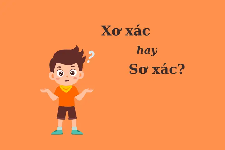 Xơ Xác Hay Sơ Xác: Phân Biệt Chi Tiết, Triệu Chứng Và Cách Xử Lý Đúng Cách Xơ Xác Hay Sơ Xác: Phân Biệt Chi Tiết, Triệu Chứng Và Cách Xử Lý Đúng Cách