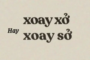 Xoay Xở Hay Xoay Sở? So Sánh Chi Tiết Hai Ứng Dụng Xoay Ảnh Phổ Biến