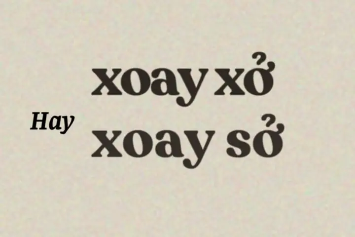 Xoay Xở Hay Xoay Sở? So Sánh Chi Tiết Hai Ứng Dụng Xoay Ảnh Phổ Biến
