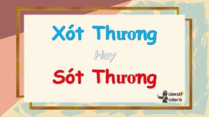 Xót Thương Hay Sót Thương: Phân Tích Chi Tiết Và Gợi Ý Cách Dùng