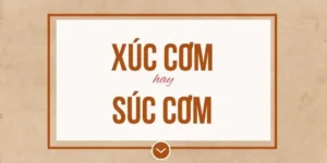 Xúc Động Hay Súc Động? Giải Đáp Chi Tiết Sự Khác Biệt Và Cách Dùng Đúng