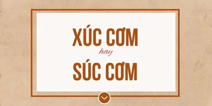 Xúc Động Hay Súc Động? Giải Đáp Chi Tiết Sự Khác Biệt Và Cách Dùng Đúng Xúc Động Hay Súc Động? Giải Đáp Chi Tiết Sự Khác Biệt Và Cách Dùng Đúng