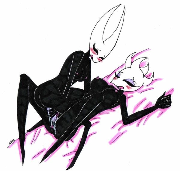 ảnh hollow knight r34 15