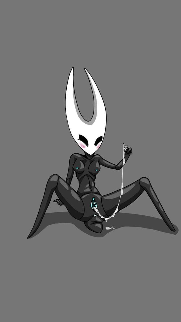 ảnh hollow knight r34 16