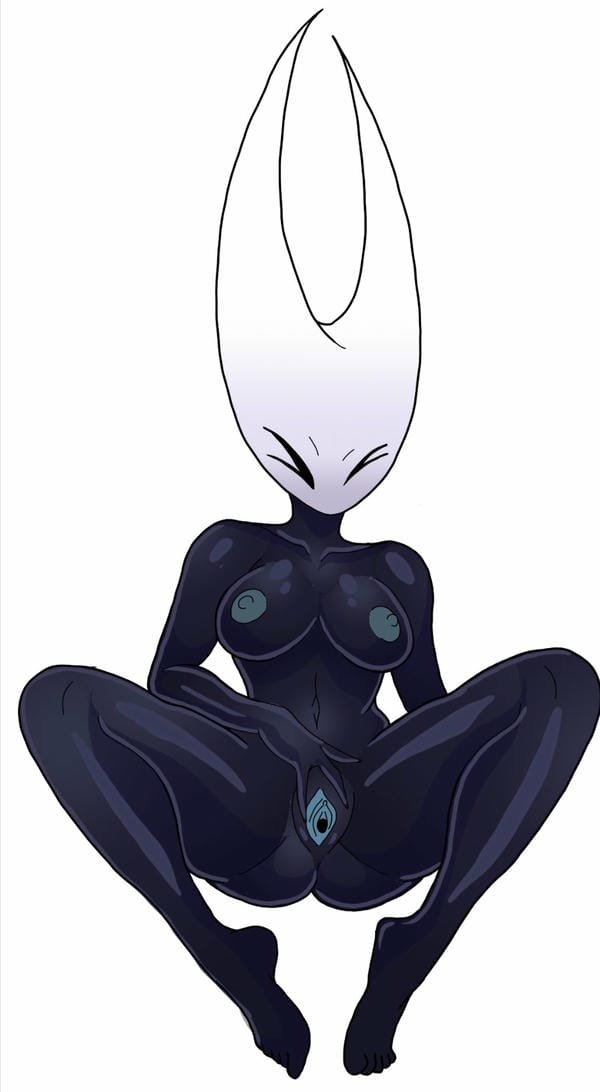 ảnh hollow knight r34 2