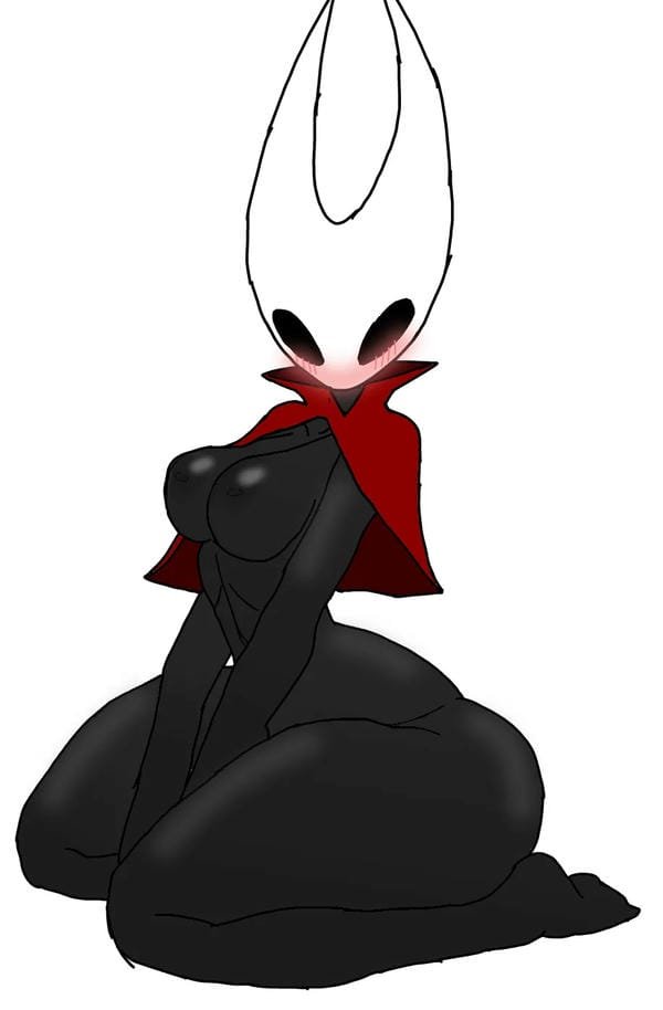 ảnh hollow knight r34 8