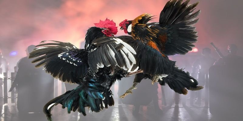 Nhà cái fabet – Điểm Đến Cá Cược Nhiều Game Thủ Tin Chọn image1