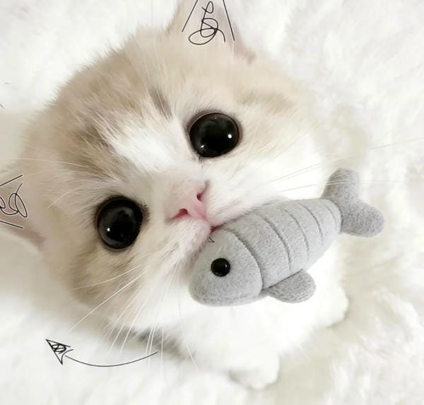 avatar cute vô tri 6