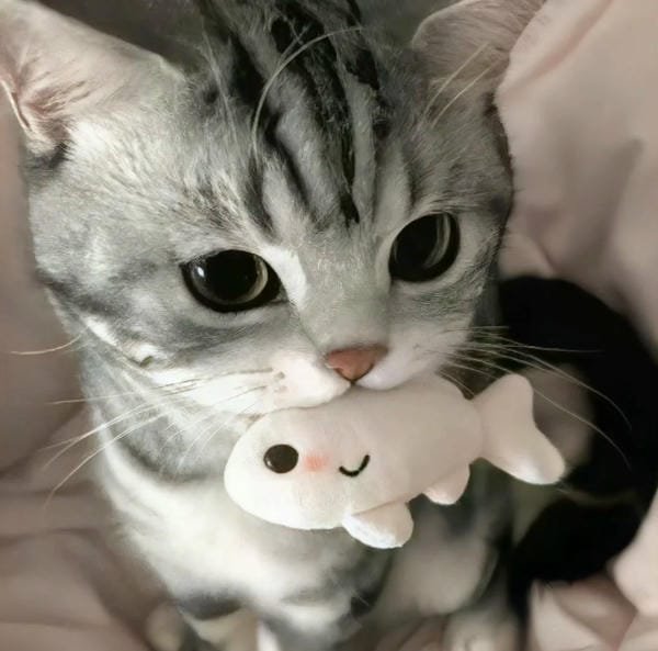avatar cute vô tri 8
