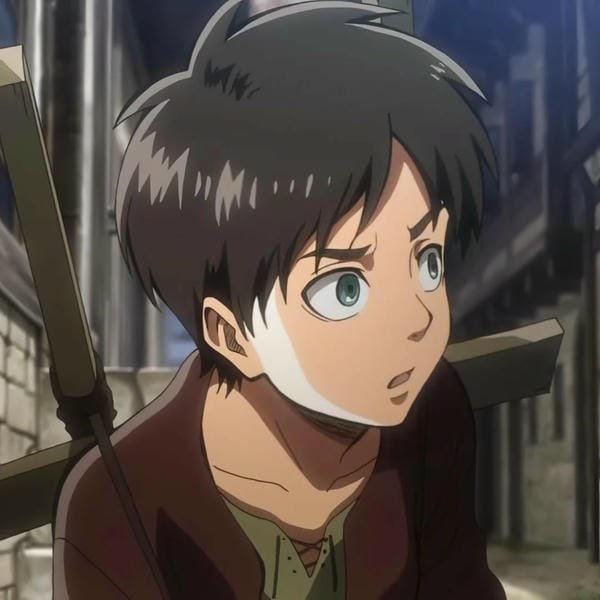 avatar eren 12
