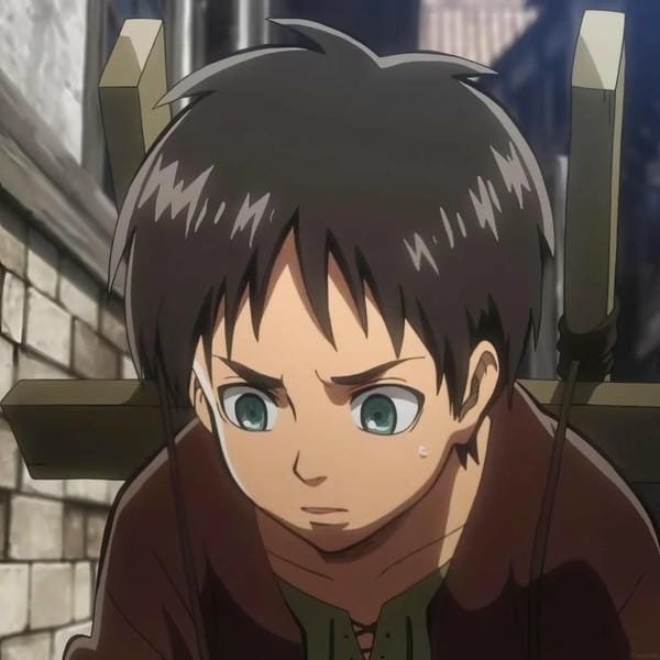 avatar eren 13