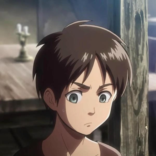 avatar eren 14