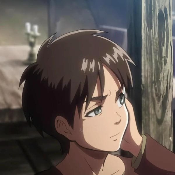 avatar eren 15