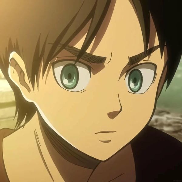 avatar eren 22