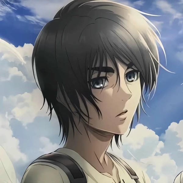 avatar eren 25